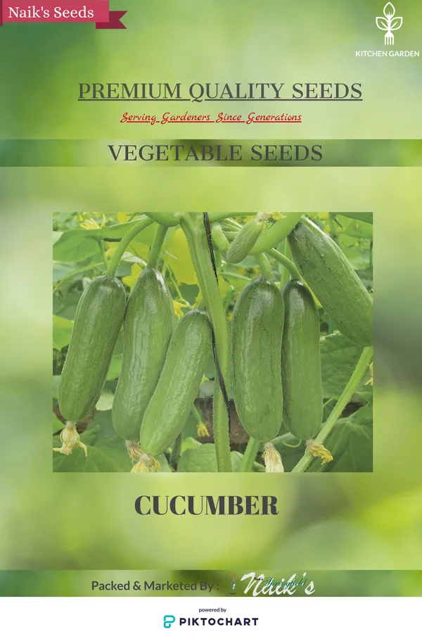 Natural_Cucumber_Seeds_Fo_Kitchen_Garden_Pack_Of_3