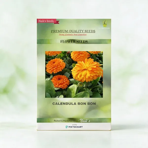 Natural_Calendula_Seeds_Fo_Garden_Pack_Of_2