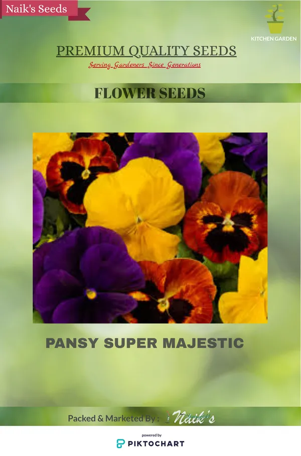 Natural_Pansy_Seeds_Fo_Garden_Pack_Of_2