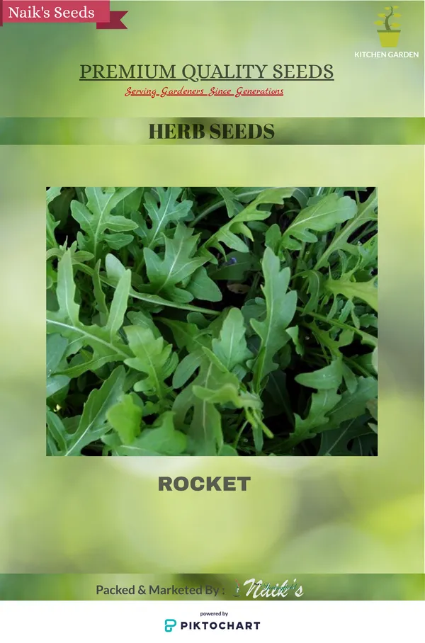Natural_Rocket_Seeds_Fo_Kitchen_Garden_Pack_Of_2