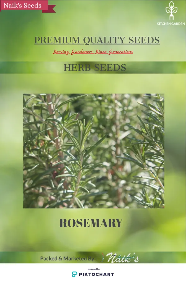 Natural_Rosemary_Seeds_Fo_Kitchen_Garden_Pack_Of_2