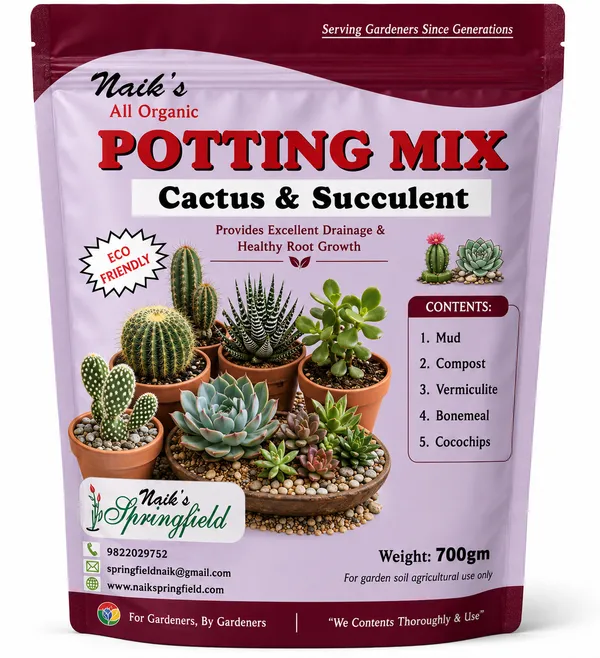Natural_Cactus_&_Succulent_Potting_Mix_Fo_Cactus_&_Succulents_Pack_Of_2