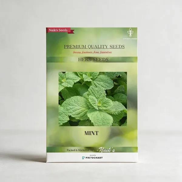 Natural_Mint_Seeds_Fo_Kitchen_Garden_Pack_Of_2