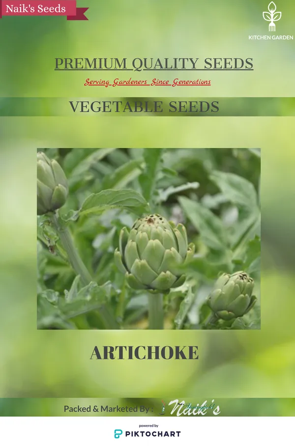 Natural_Artichoke_Seeds_Fo_Kitchen_Garden_Pack_Of_2