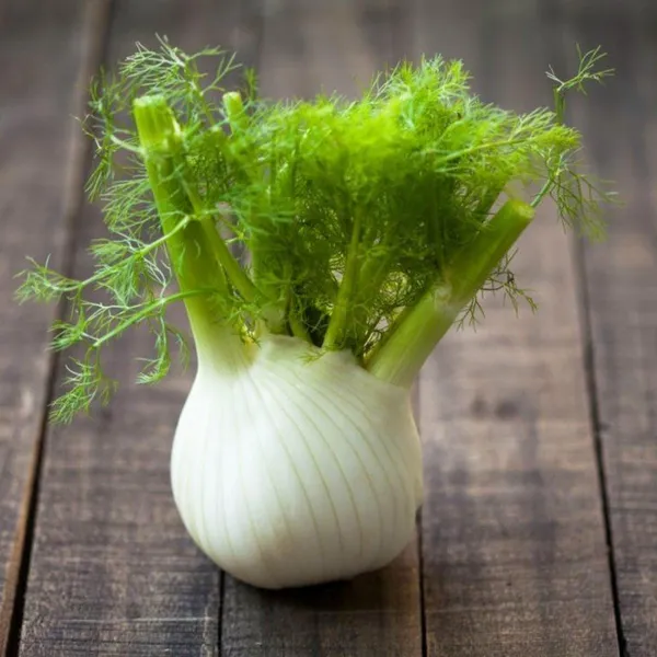Natural_Fennel_Seeds_Fo_Kitchen_Garden_Pack_Of_2