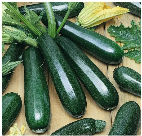 Natural_Zucchini_Seeds_Fo_Kitchen_Garden_Pack_Of_2