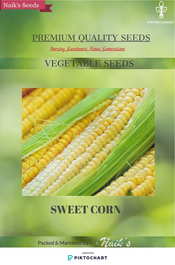 Natural_Sweet_Corn_Seeds_Fo_Kitchen_Garden_Pack_Of_2