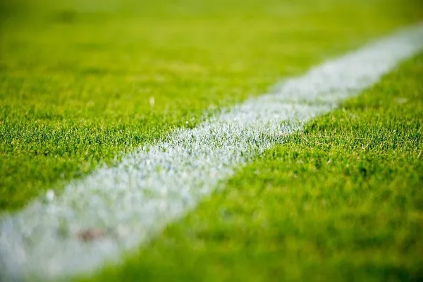 Natural_Sports_&_Field_Grass_Seeds_Fo_Lawn_Pack_Of_2