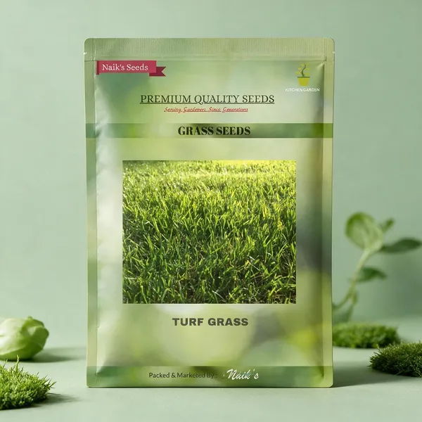 Natural_English_Turf_Grass_Seeds_Fo_Lawn_Pack_Of_2