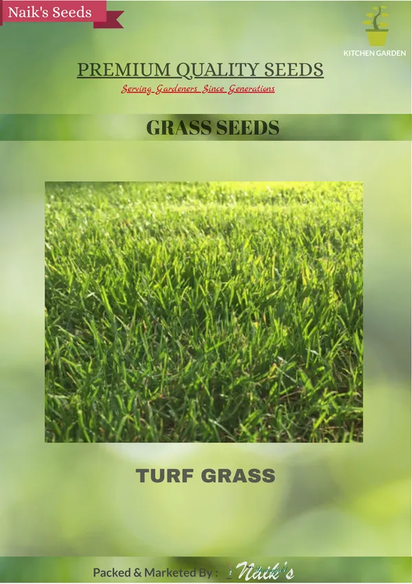 Natural_English_Turf_Grass_Seeds_Fo_Lawn_Pack_Of_2