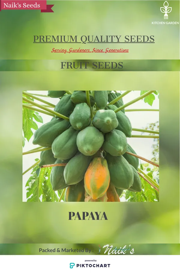 Natural_Papaya_Seeds_Fo_Kitchen_Garden_Pack_Of_2