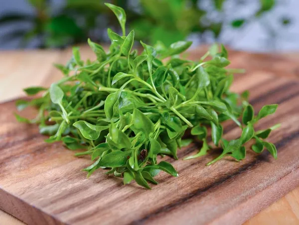 Natural_Watercress_Seeds_Fo_Kitchen_Garden_Pack_Of_2