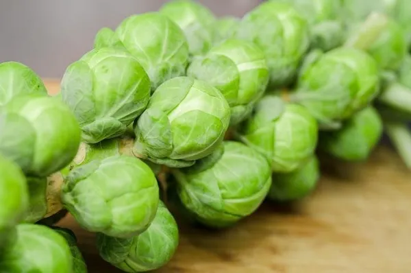 Natural_Brussels_Sprouts_Seeds_Fo_Kitchen_Garden_Pack_Of_2