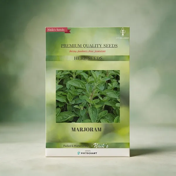 Natural_Marjoram_Seeds_Fo_Kitchen_Garden_Pack_Of_3