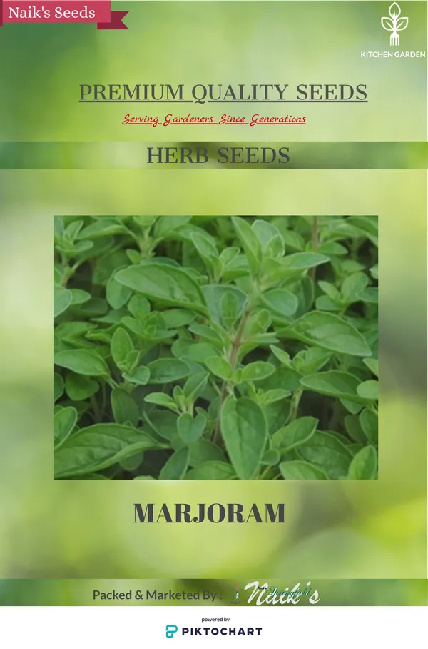 Natural_Marjoram_Seeds_Fo_Kitchen_Garden_Pack_Of_3