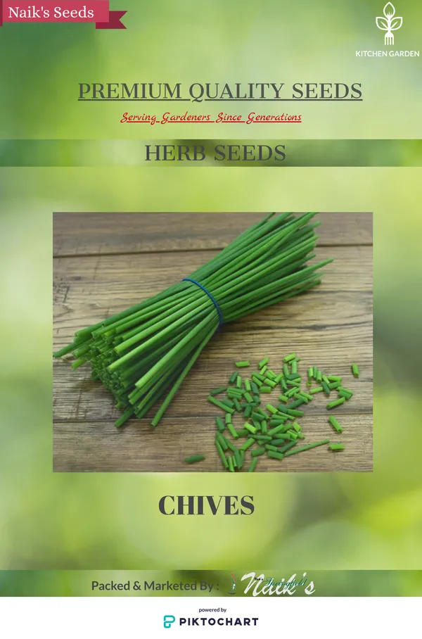 Natural_Chive_Seeds_Fo_Kitchen_Garden_Pack_Of_3
