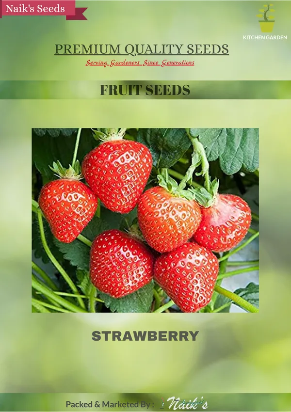 Natural_Strawberry_Seeds_Fo_Kitchen_Garden_Pack_Of_2