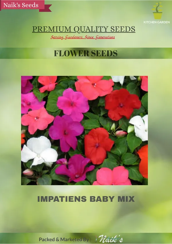 Natural_Impatiens_Seeds_Fo_Garden_Pack_Of_2
