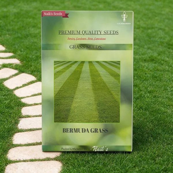 Natural_Bermuda_Grass_Seeds_Fo_Lawn_Pack_Of_2