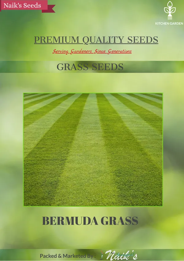Natural_Bermuda_Grass_Seeds_Fo_Lawn_Pack_Of_2