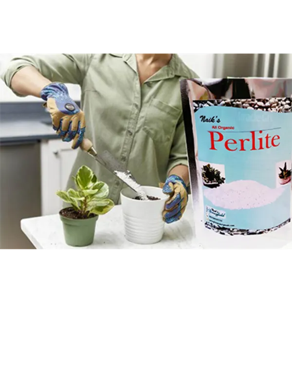 Natural_Perlite_Fo_Plants_Pack_Of_2