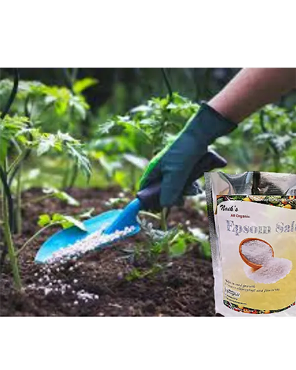 Natural_Epsom_Salt_Fo_Plants_Pack_Of_2