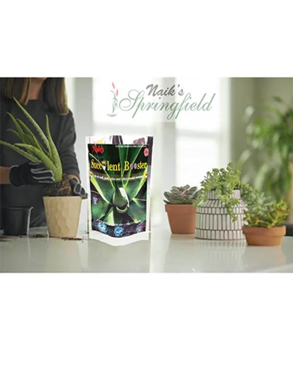 Natural_Succulent_Fertilizer_Fo_Succulents_Pack_Of_2