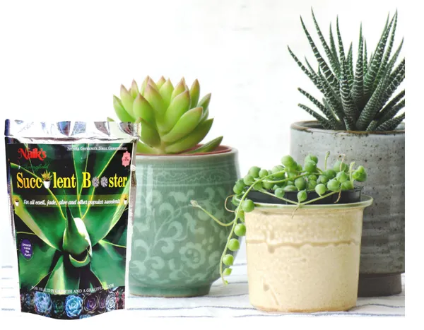 Natural_Succulent_Fertilizer_Fo_Succulents_Pack_Of_2