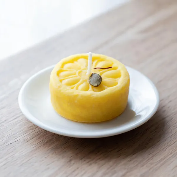 Wax_Citrus_Slice_Decorative_Candle_Set_Of_2