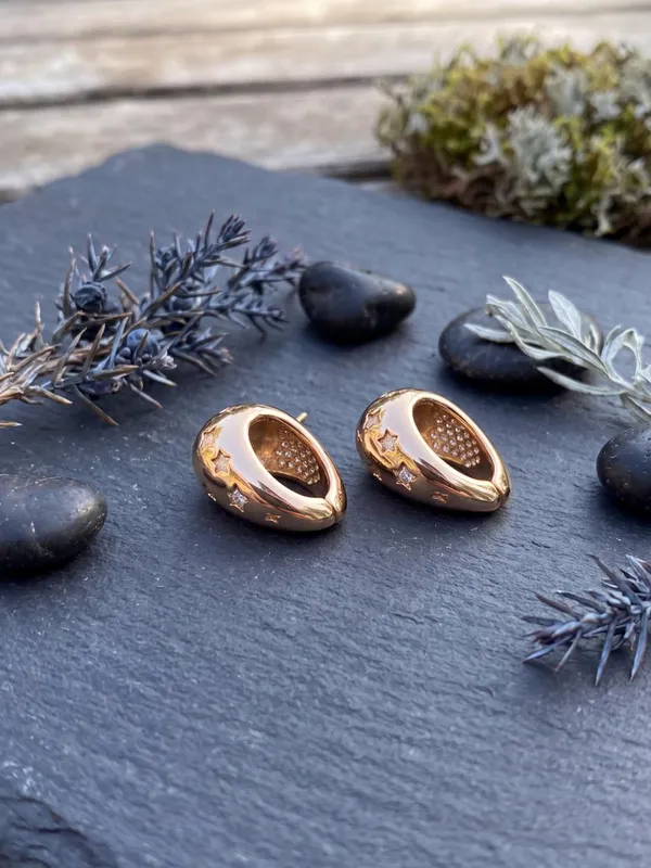 Earrings_for_women