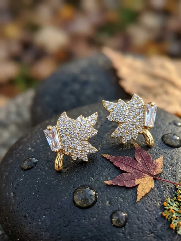 Earrings_for_women