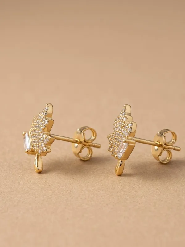 Earrings_for_women