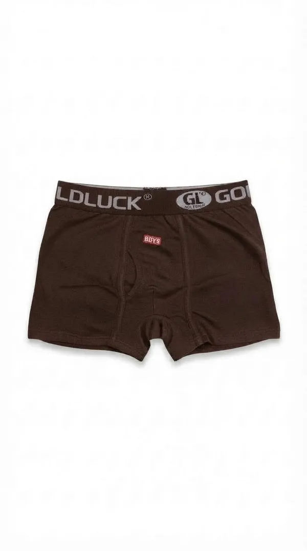 Brown_Boxer_Briefs_for_Men