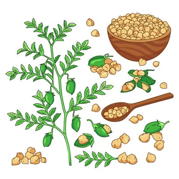 Dcube_Diet_Mung_Khakhara_200gms