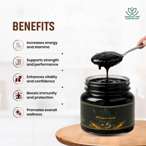 Shilajeet_Gold_Ayurvedic_Supplement_Vitality_Mental_Clarity_Support_20_G