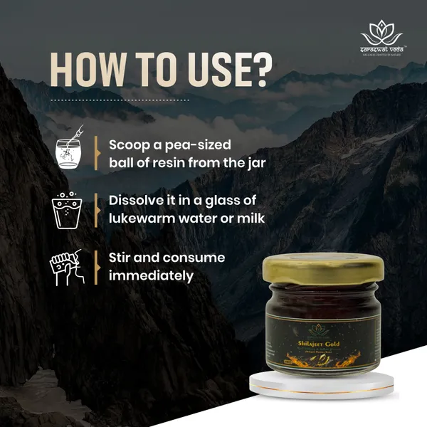 Shilajeet_Gold_Ayurvedic_Supplement_Vitality_Mental_Clarity_Support_20_G