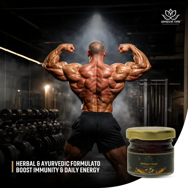 Shilajeet_Gold_Ayurvedic_Supplement_Vitality_Mental_Clarity_Support_20_G
