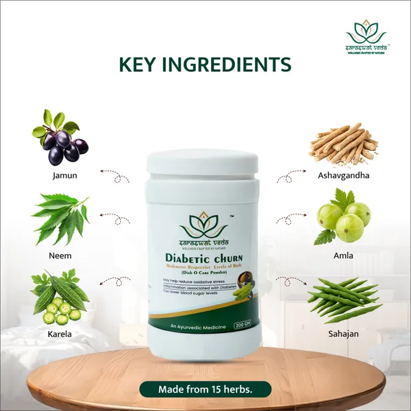 Diabetic_Churn_Ayurvedic_Powder_Blood_Sugar_Support_200_G