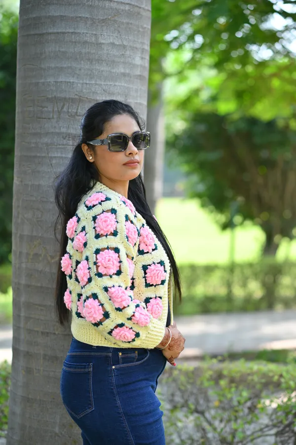 Women_Self_Design_V-Neck_Crop_Sweater_With_Embroidered_Detail