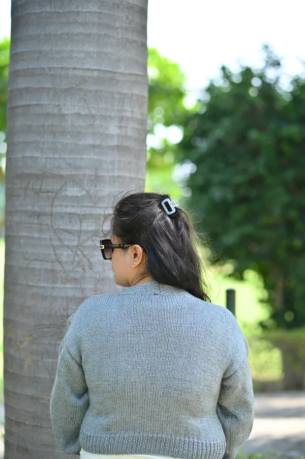 Women_Self_Design_V-Neck_Crop_Sweater_With_Embroidered_Detail
