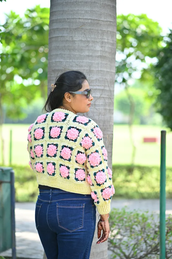 Women_Self_Design_V-Neck_Crop_Sweater_With_Embroidered_Detail