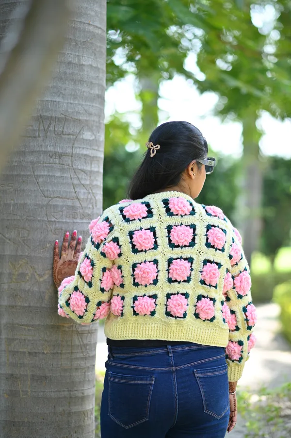Women_Self_Design_V-Neck_Crop_Sweater_With_Embroidered_Detail