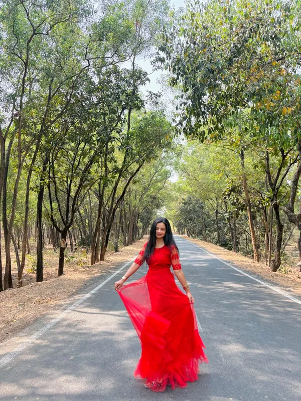 Red_Net_Embroidered_Saree_Gown_For_Women