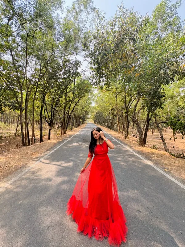 Red_Net_Embroidered_Saree_Gown_For_Women
