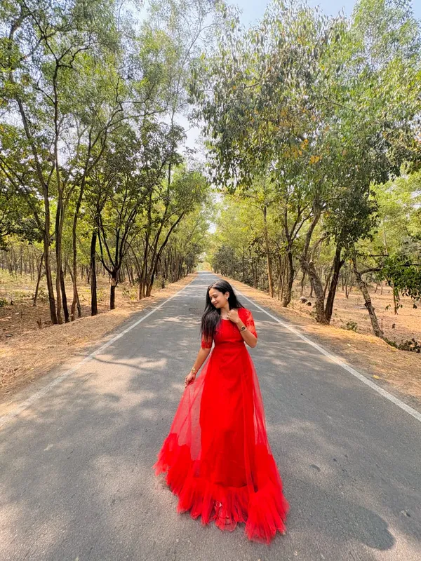 Red_Net_Embroidered_Saree_Gown_For_Women