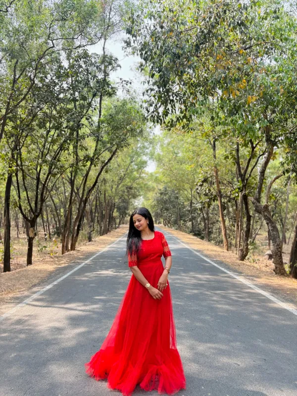 Red_Net_Embroidered_Saree_Gown_For_Women