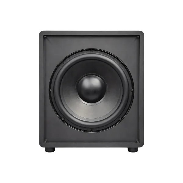 Baspro_Ht-12000Sw_12-Inch_Passive_Subwoofer_Enclosure_Sand_Paint_Finish