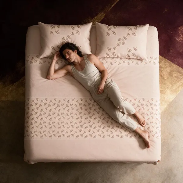ZADE_PURE_COTTON_KING_SIZE_PANNEL_PRINT_DOUBLE_BED_BEDSHEET