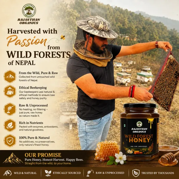 Rajasthan_Organics_Wild_Forest_Honey_1_Ltr