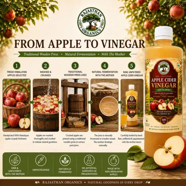 Rajasthan_Organics_Apple_Cider_Vinegar_With_The_Mother_500_Ml_X_2